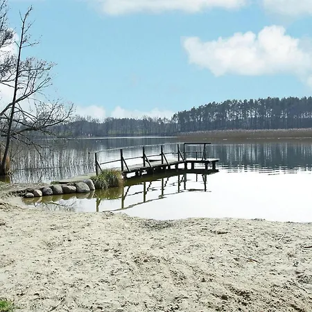 Wildgans Am Vilzsee In